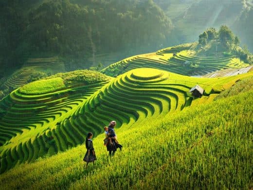 Cánh đồng ruộng bậc thang Mộc Châu