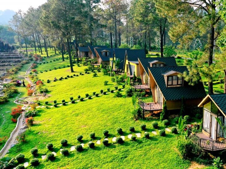 Review kinh nghiệm du lịch Mộc Châu chi tiết từ A đến Z cho người mới