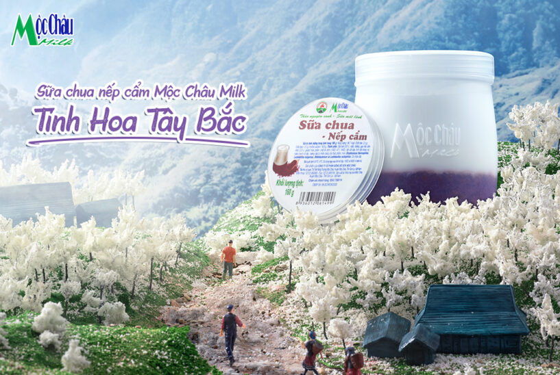 Mua gì làm quà khi du lịch Mộc Châu độc đáo và ý nghĩa nhất?